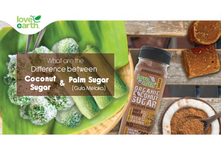 WHAT ARE THE DIFFERENCE BETWEEN COCONUT SUGAR & MELAKA SUGAR? | Malaysia's  Best Online Organic Food Store | Love Earth