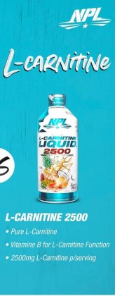 solal acetyl-l-carnitine Acetyl L Carnitine