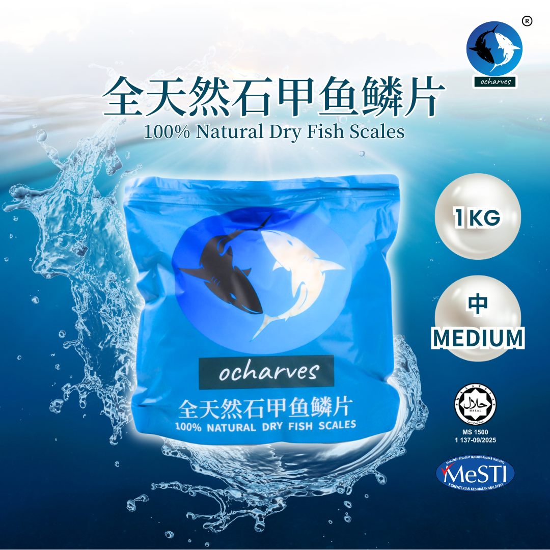 WORLD CHINESE JOURNAL OF DIGESTOLOGY Shijie Huaren Xiaohua Zazhi, image size:1080x1080