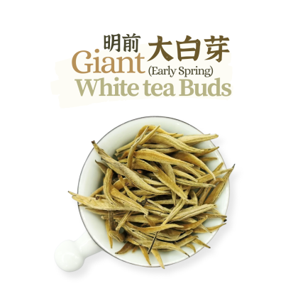 大白芽【100g】 | Welcome to Qiu Xiang Tea | 秋香茗茶