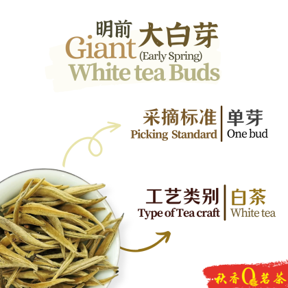 大白芽【100g】 | Welcome to Qiu Xiang Tea | 秋香茗茶