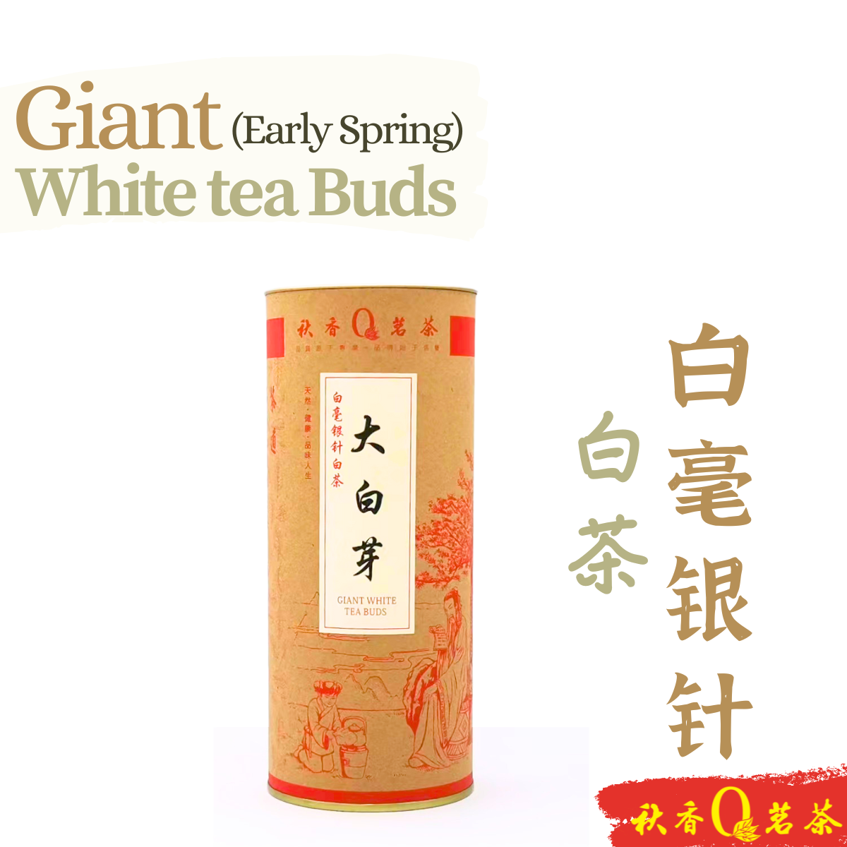 大白芽【100g】 | Welcome to Qiu Xiang Tea | 秋香茗茶