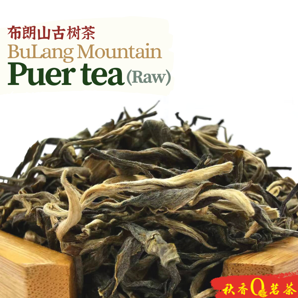 布朗山古树茶【100g】 | Welcome to Qiu Xiang Tea | 秋香茗茶