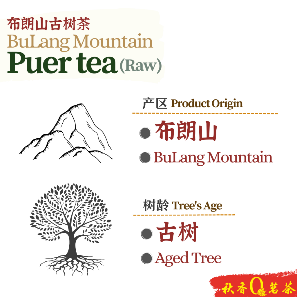 布朗山古树茶【100g】 | Welcome to Qiu Xiang Tea | 秋香茗茶