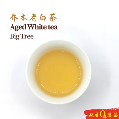 中国 老白茶 357g 梅相靖号级白茶野枞牡丹2019年特级白牡丹357g福