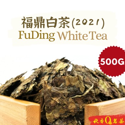 福鼎白茶FuDing White tea (2021) (500G) | Welcome to Qiu