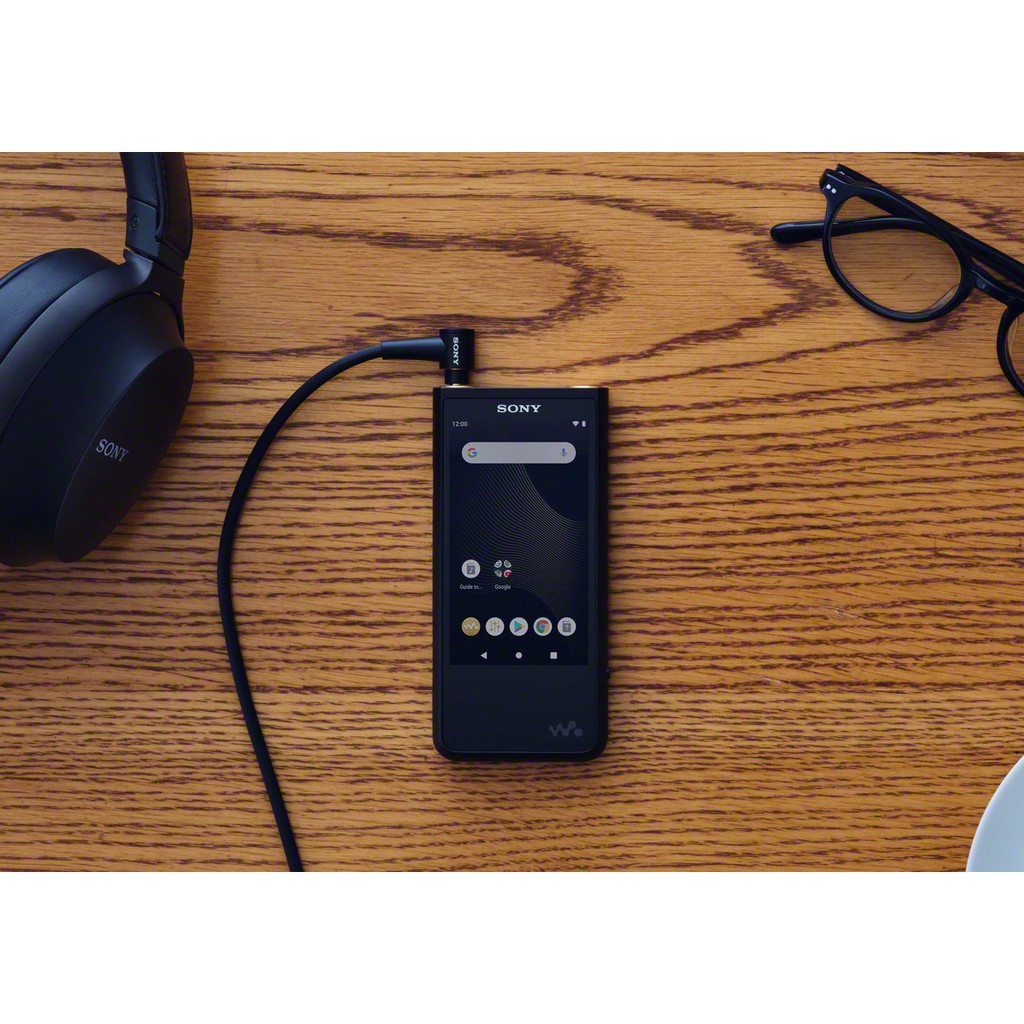 Sony NW-ZX507, Walkman Digital Audio Player: NW-ZX500 Series with