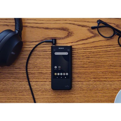 Sony NW-ZX507, Walkman Digital Audio Player: NW-ZX500 Series with