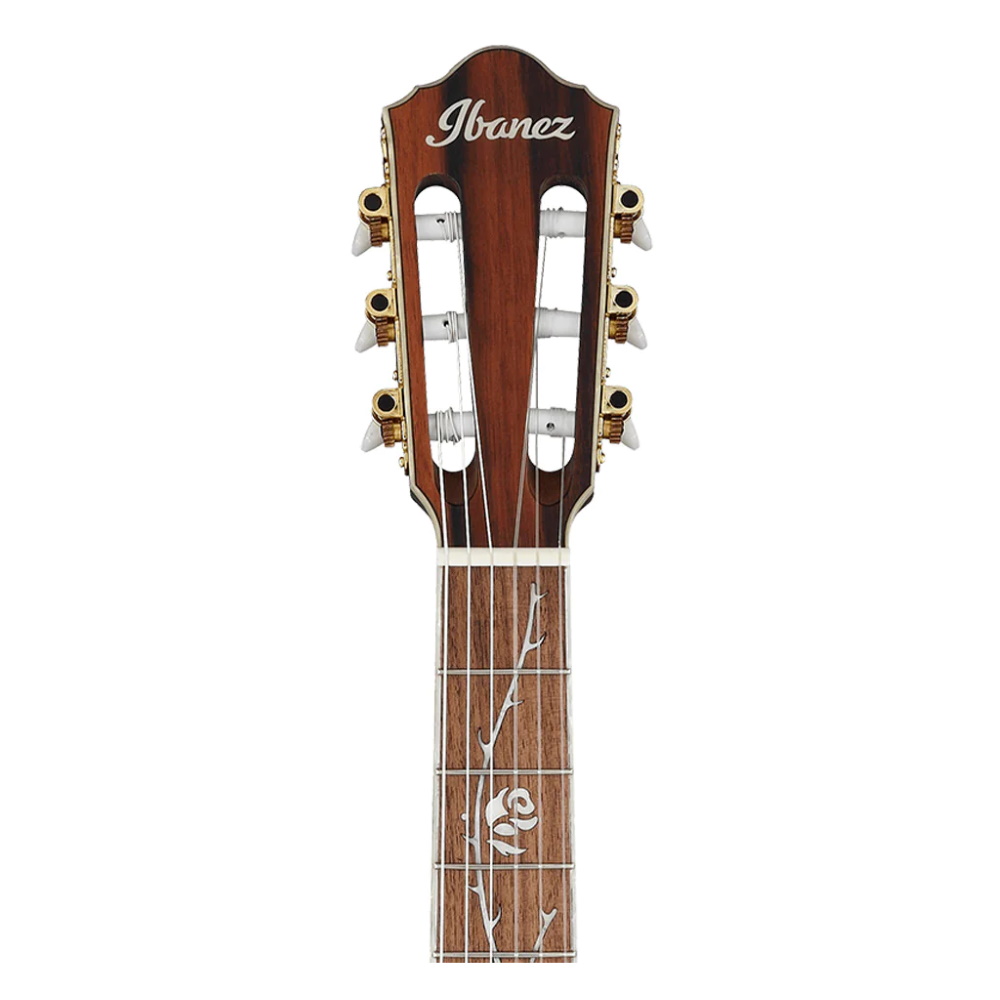 Ibanez TOD10N-TKF Tim Henson Signature Nylon String Guitar