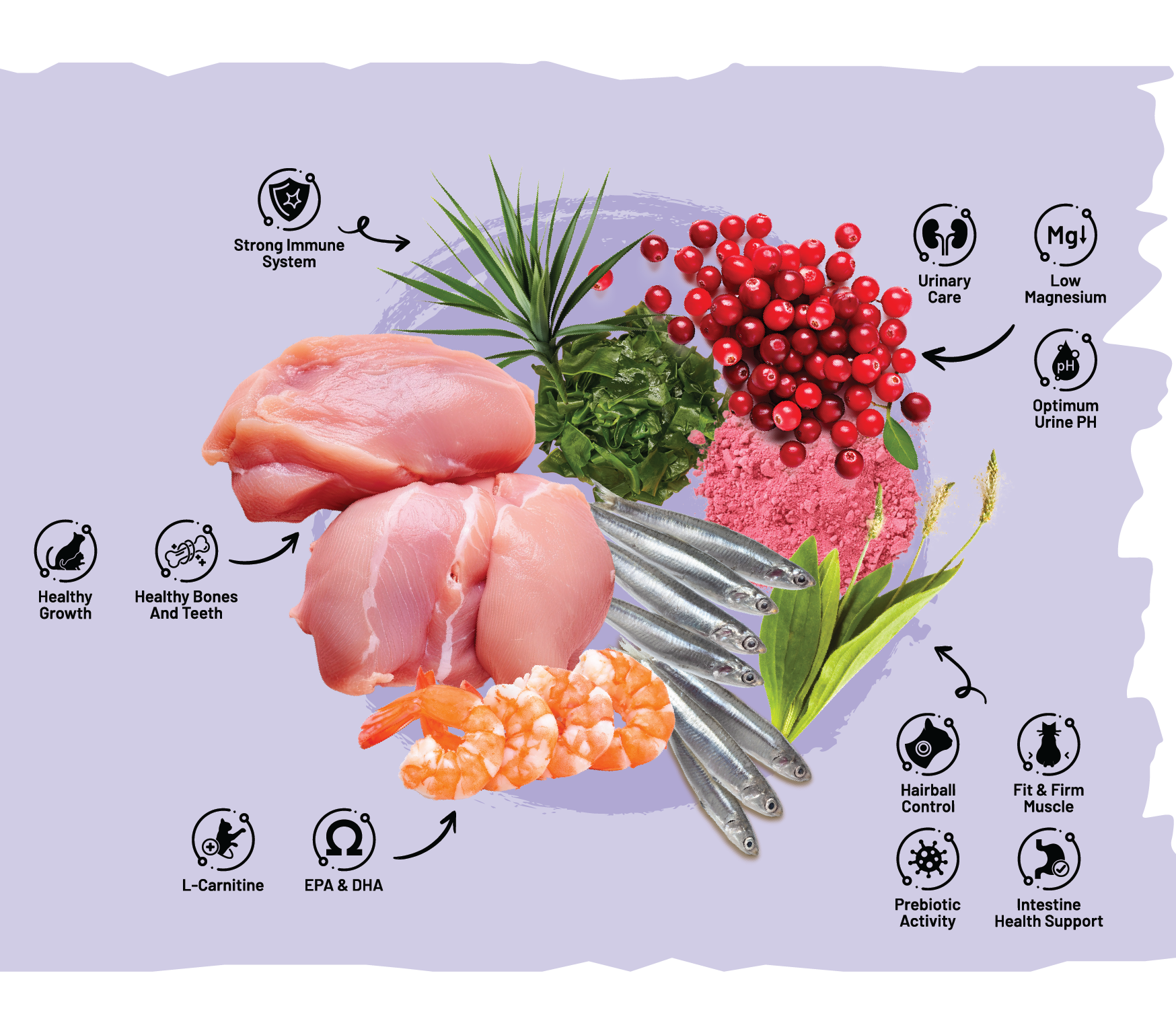 l carnitina en gotas Lipo Drops Gotas L Carnitina