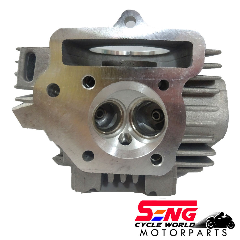 HEAD FORMULA 100 25㎝-25.5㎝ mqdefault.jpg