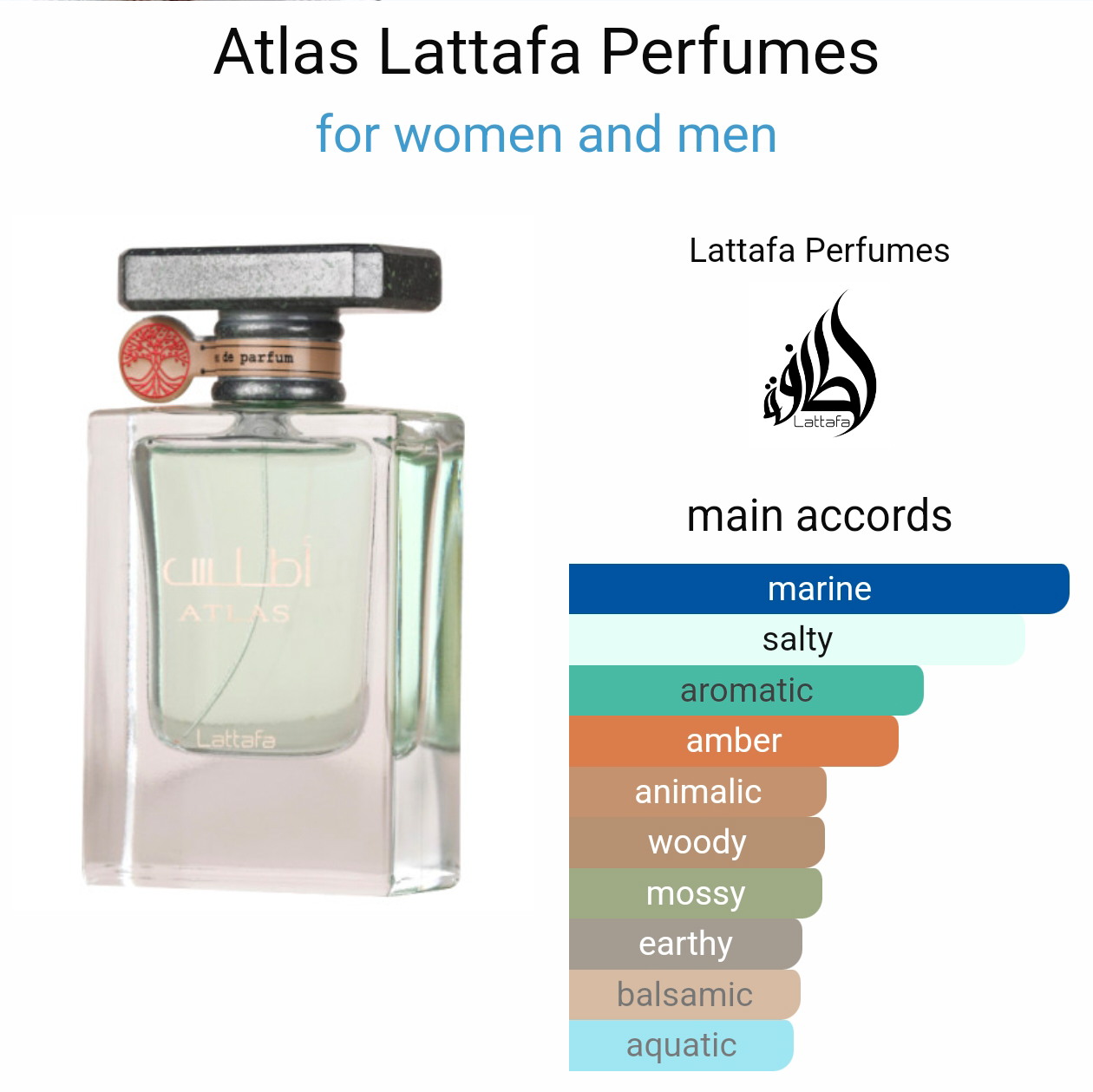 Atlas Lattafa Perfume Lattafa 55 Ml Edp - Lattafa Unisex Fragrance