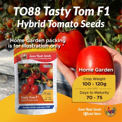 Small Pack] TO88 Benih Tomato Tasty Tom Soon Huat Seeds | Soon