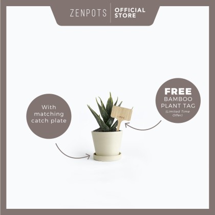 ZENPOTS 10cm Pot (With Catch Plate) | Basically PH