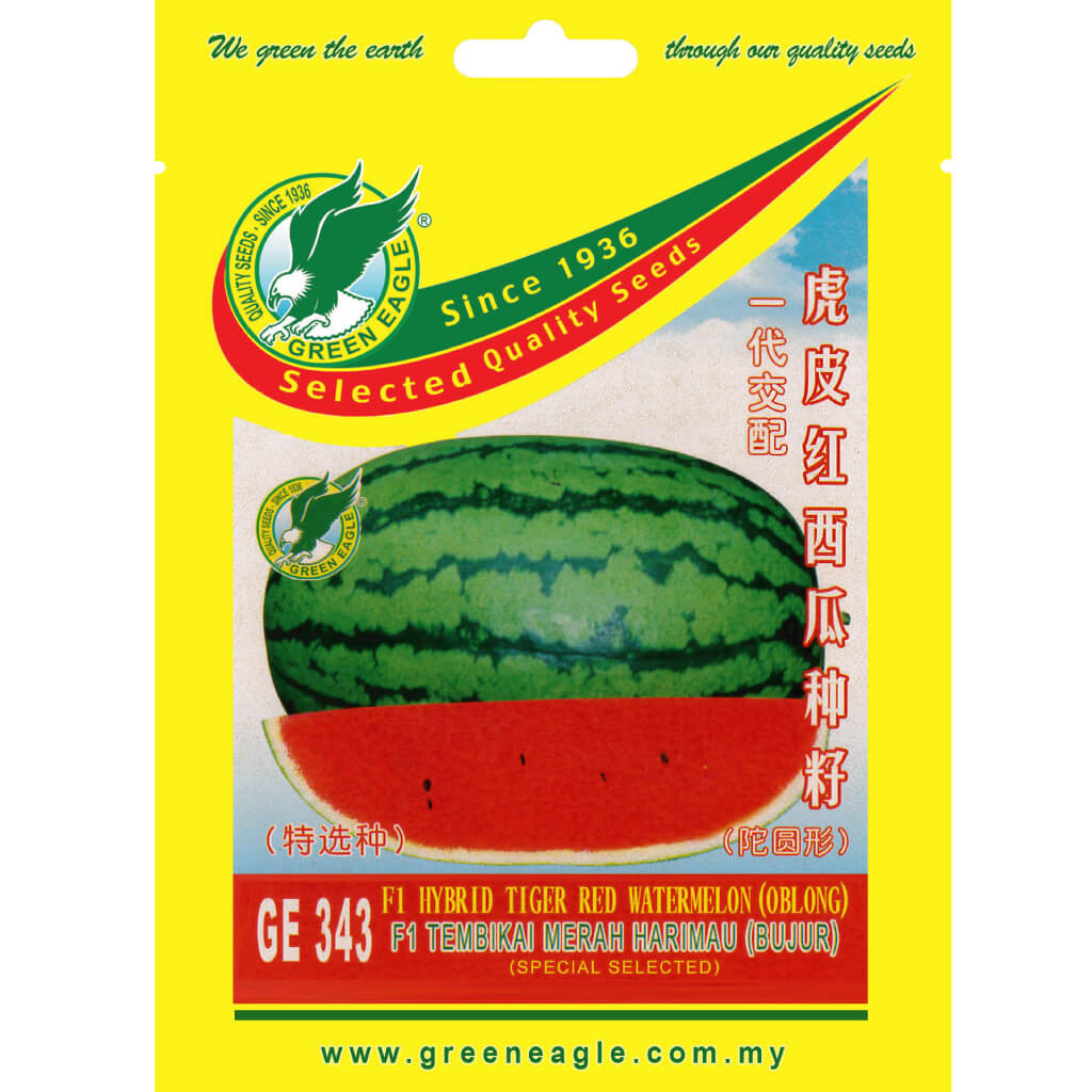 Bee watermelon レアデック　トランプ Bee watermelon レアデック トランプ