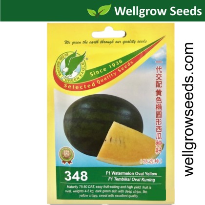 果物 Suisolove Japanese Snack Reviews: Random Picture #77