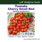 3MsDh6Px66f51e99efdf0_17273401